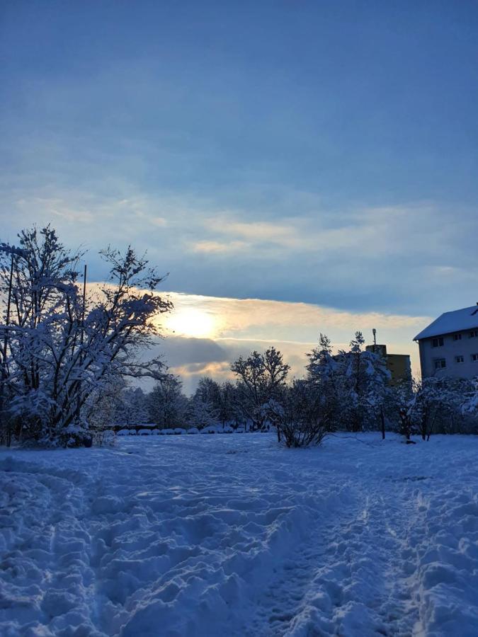 Wohnung Im Schwarzwald Mit Panorama Blick Kleines Wiesental Zewnętrze zdjęcie