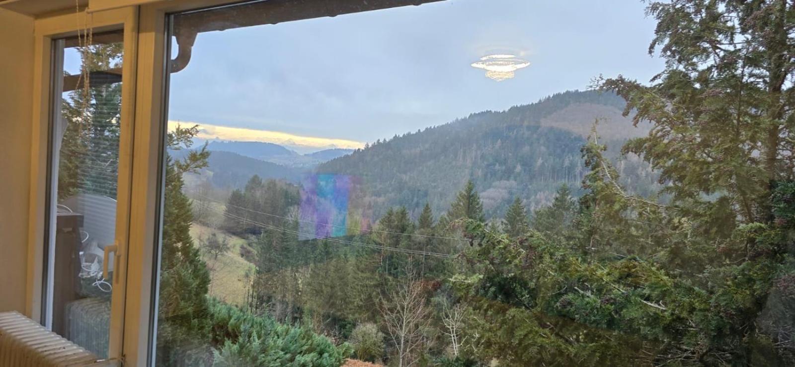 Wohnung Im Schwarzwald Mit Panorama Blick Kleines Wiesental Zewnętrze zdjęcie