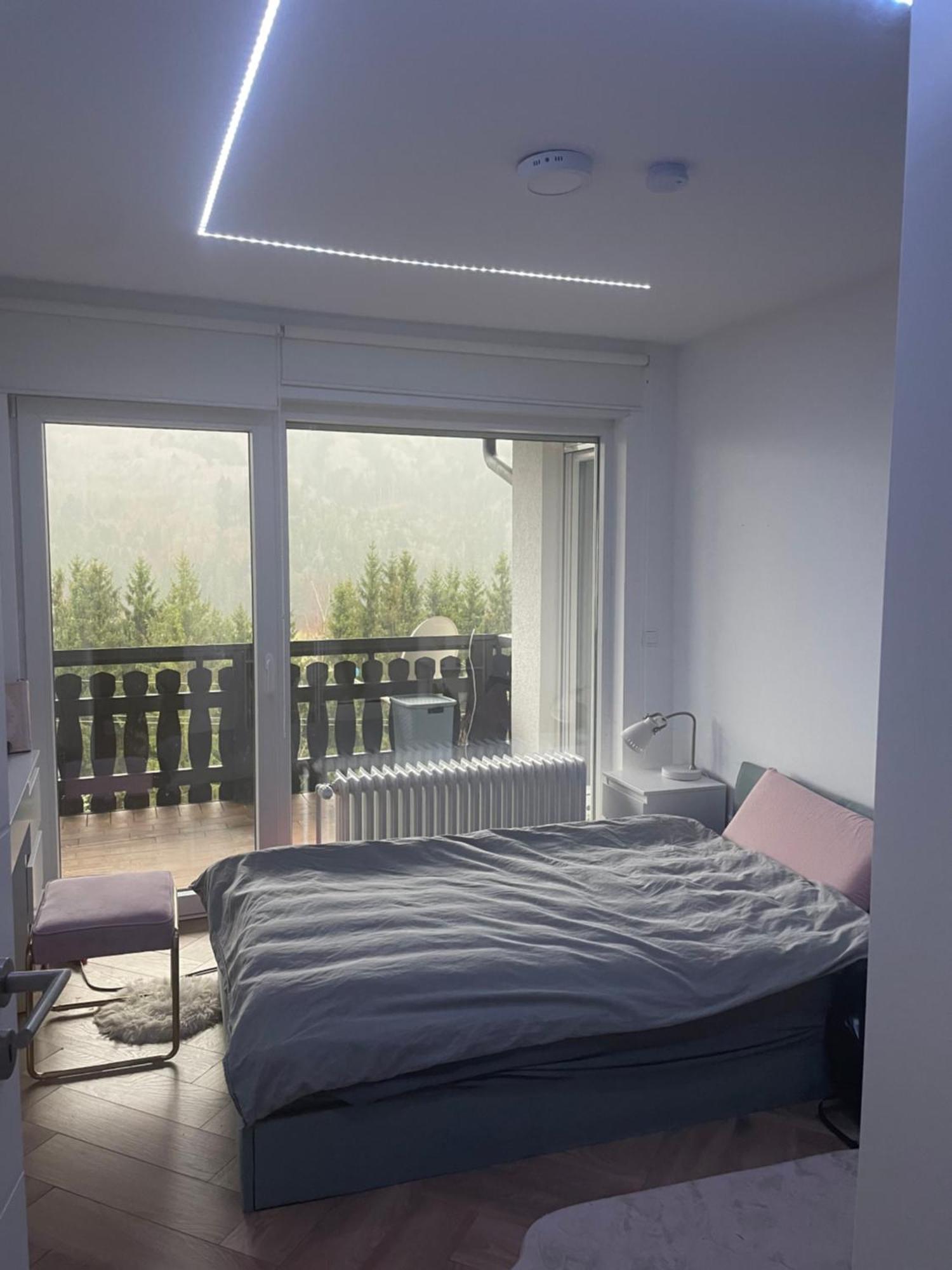 Wohnung Im Schwarzwald Mit Panorama Blick Kleines Wiesental Zewnętrze zdjęcie